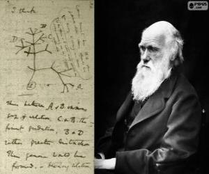 yapboz Charles Darwin (1809-1882), İngiliz biyolog